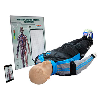 Тренажер для обучения навыкам сердечно-легочной реанимации «Олег-1.02» с анатомическим табло 